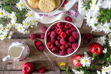 Platzhalterbild Himbeeren-06